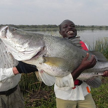 sport fishing safari, filming fishing safari